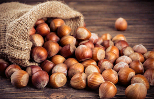 noisettes riches en calcium