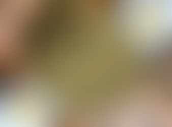 8 plantes pour le soin des cheveux