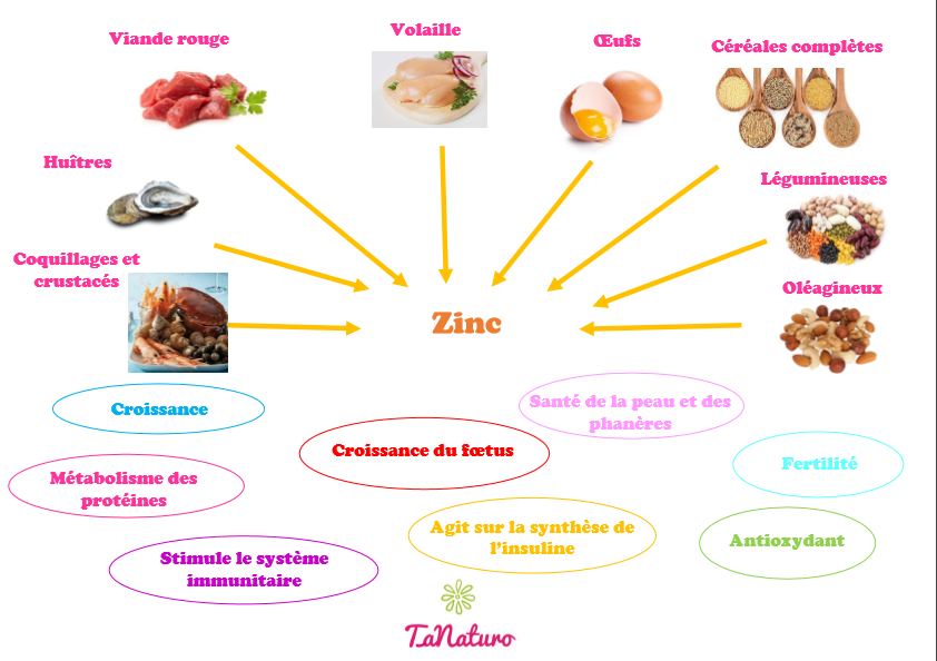 aliments riches en zinc
