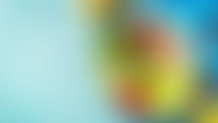 Comment équilibrer son assiette au quotidien ?