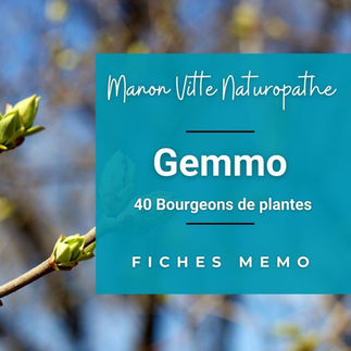 Fiches naturopathie