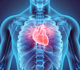 coeur