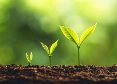 Evoluer, devenir naturopathe