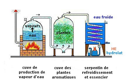 la distillation des huiles essentielles