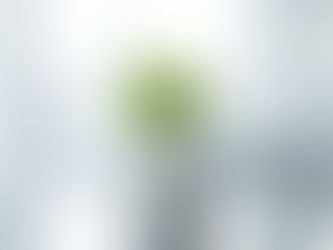 une plante verte dans un pot en forme de pièce de puzzle qui représente le développement d'activité du naturopathe