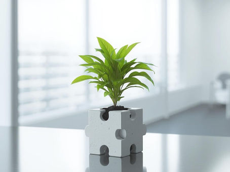 une plante verte dans un pot en forme de pièce de puzzle qui représente le développement d'activité du naturopathe