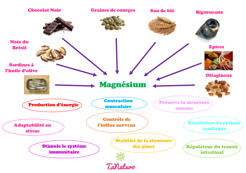 les aliments riches en magnésium