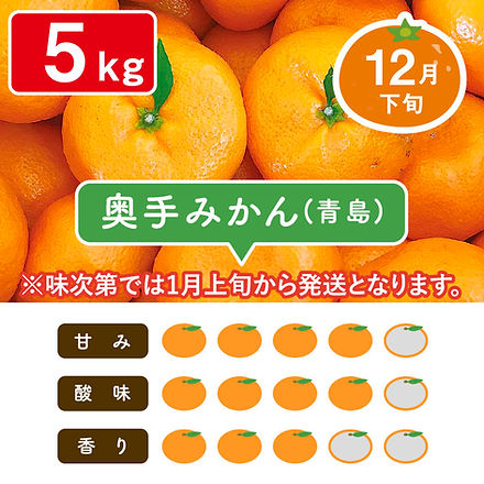奥手みかん5kg | マルデン伊藤農園