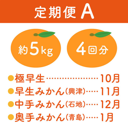 定期便A | マルデン伊藤農園