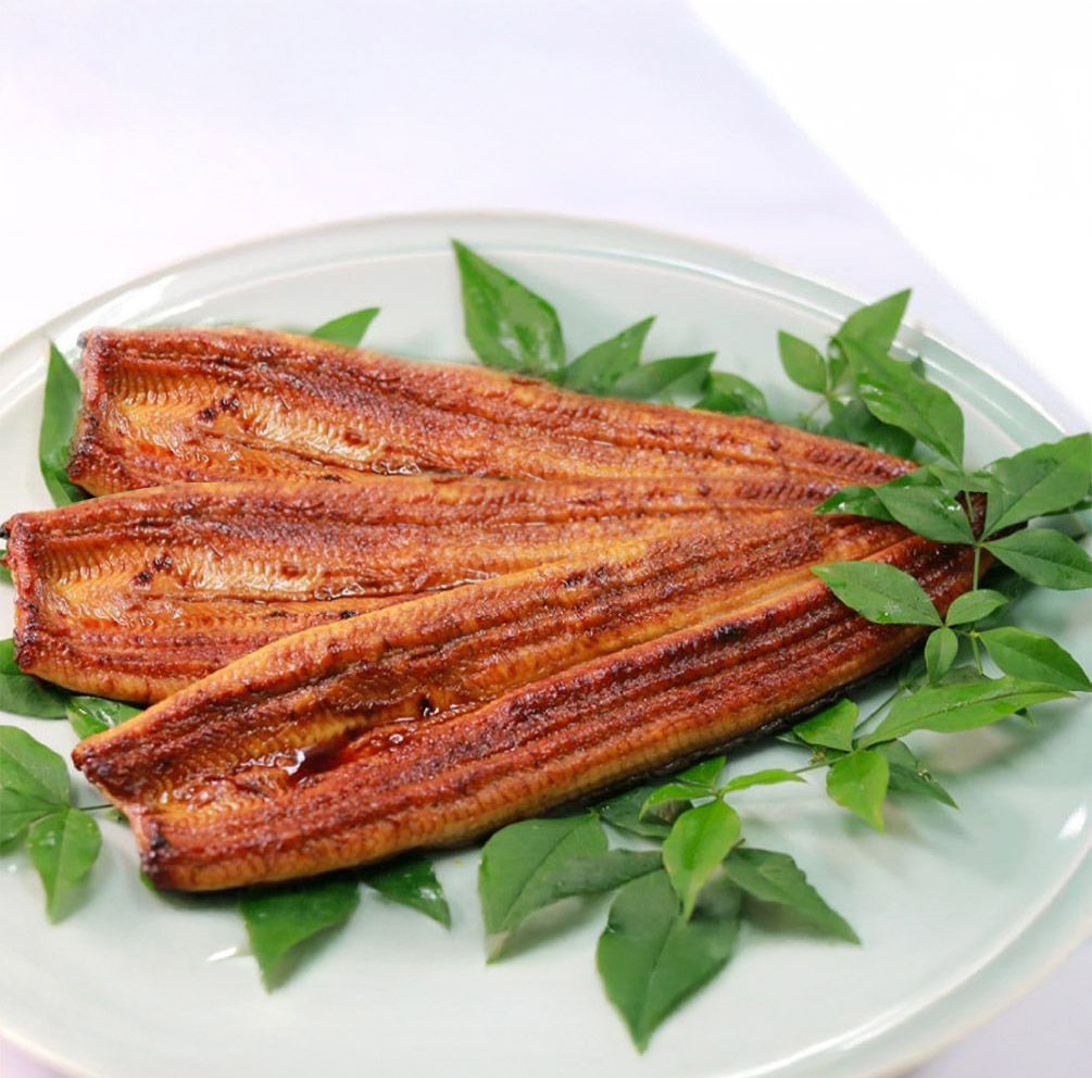 浜名湖うなぎ長蒲焼【真空パック（冷凍）】3本セット