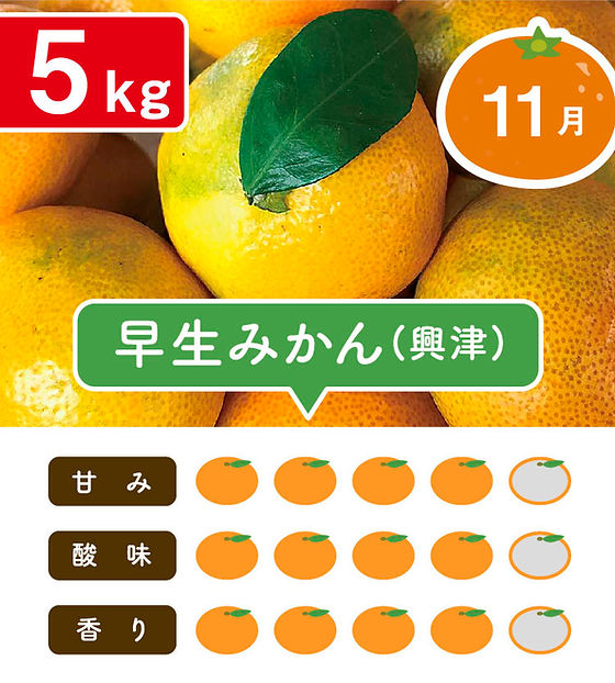 早生みかん5kg | マルデン伊藤農園
