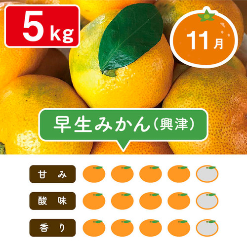 早生みかん5kg | マルデン伊藤農園