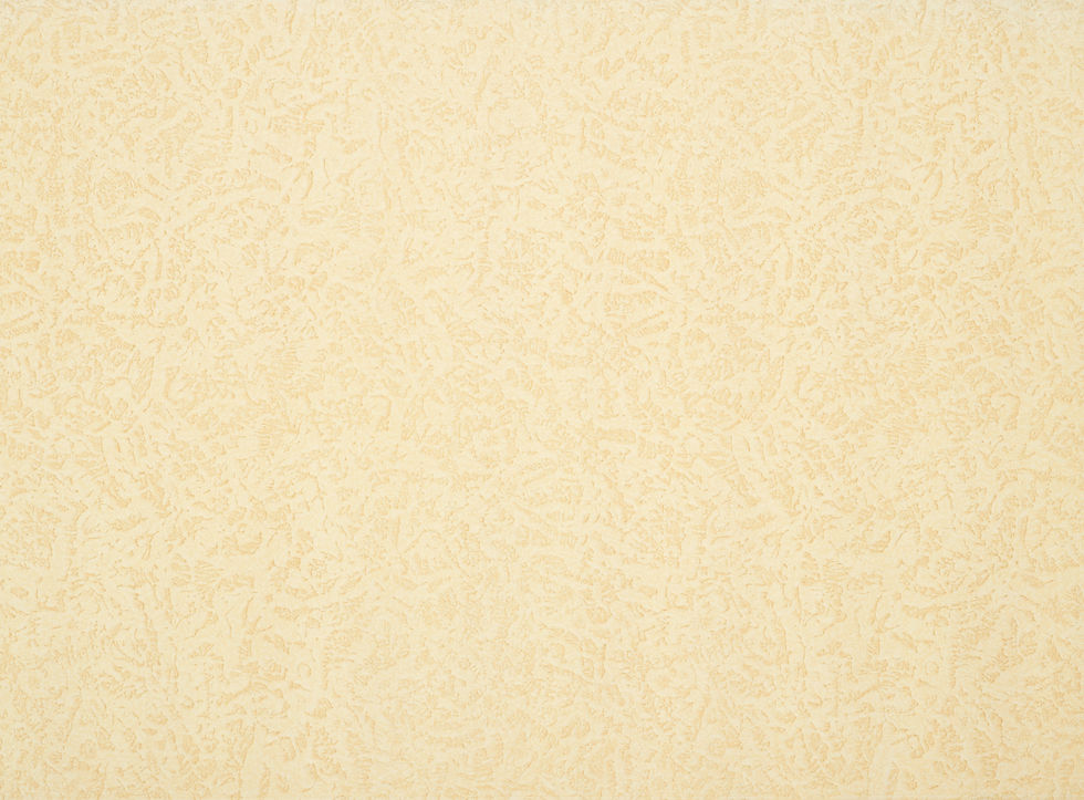museum-of-new-zealand-te-papa-tongarewa-wqMxLTxPXBk-unsplash.jpg