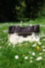 Cream and chocolate brown handbag in a field of daisies