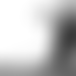 Was bedeutet Individualismus für mich?