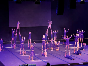 Showteam Magic Butterflys