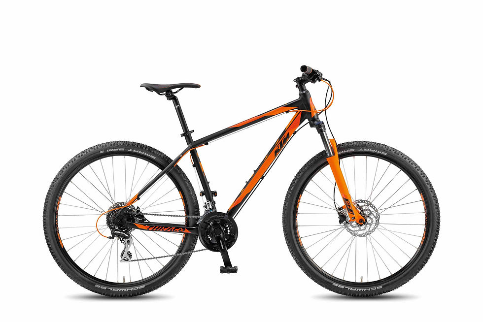 Rent KTM Mountain Bike in Bled