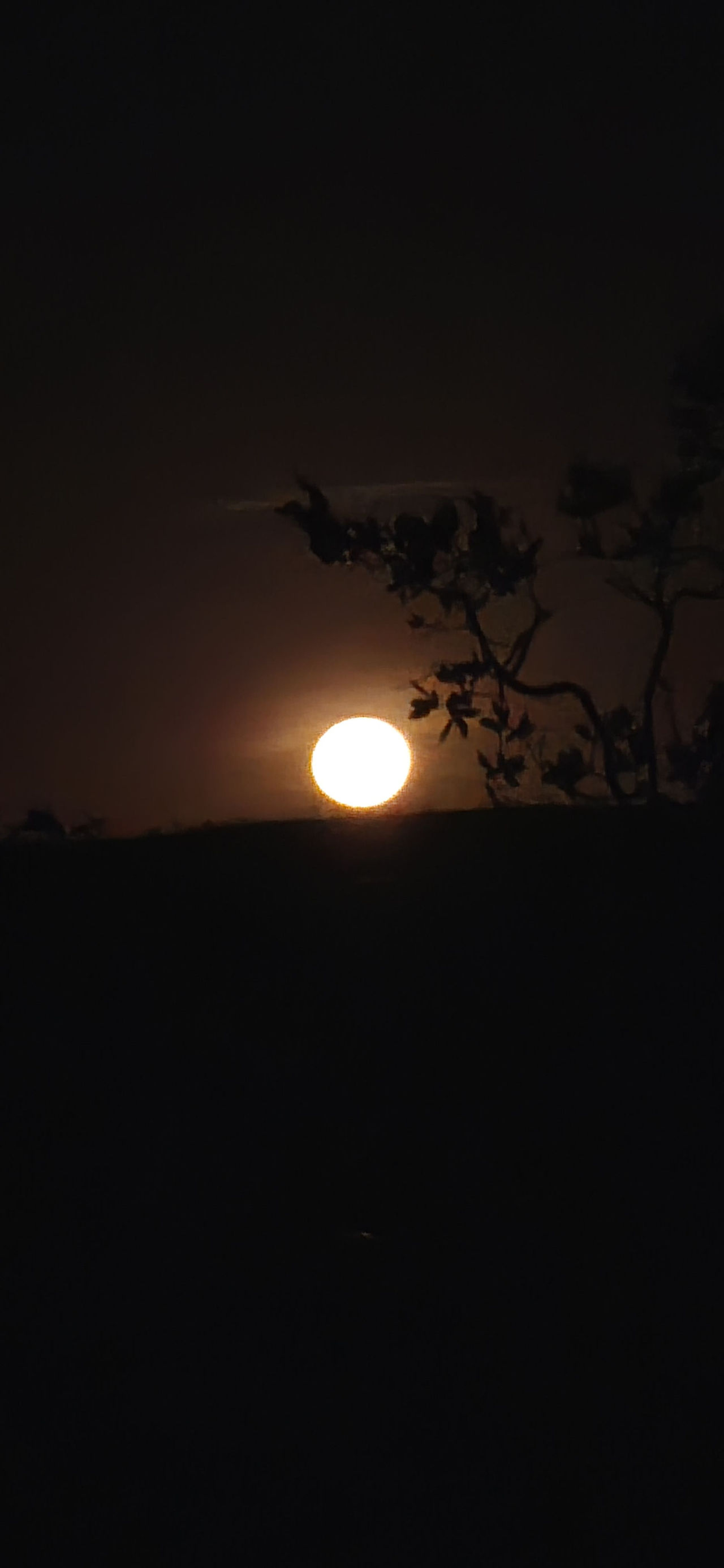 Lua Cheia - Mirante do Alto