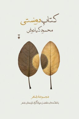 کتاب دوستی