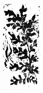 DSCF6588.jpg