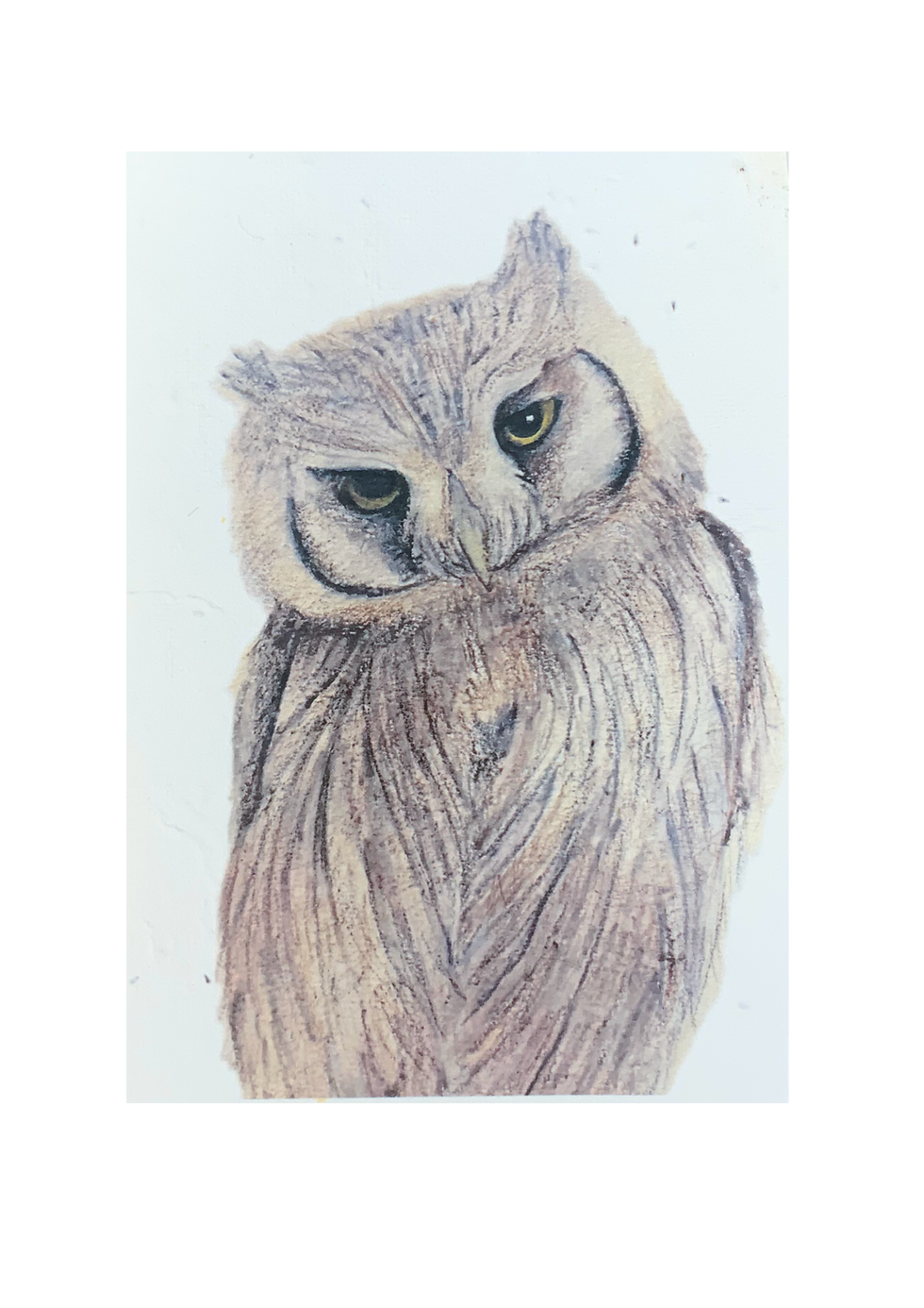 Thumbnail: Looking In