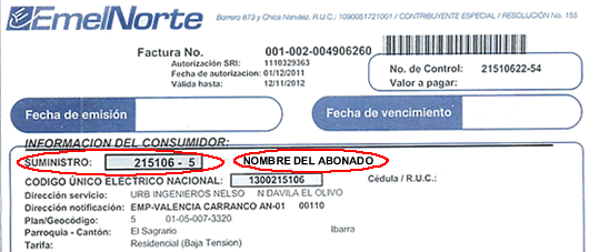 Consulta tu factura
