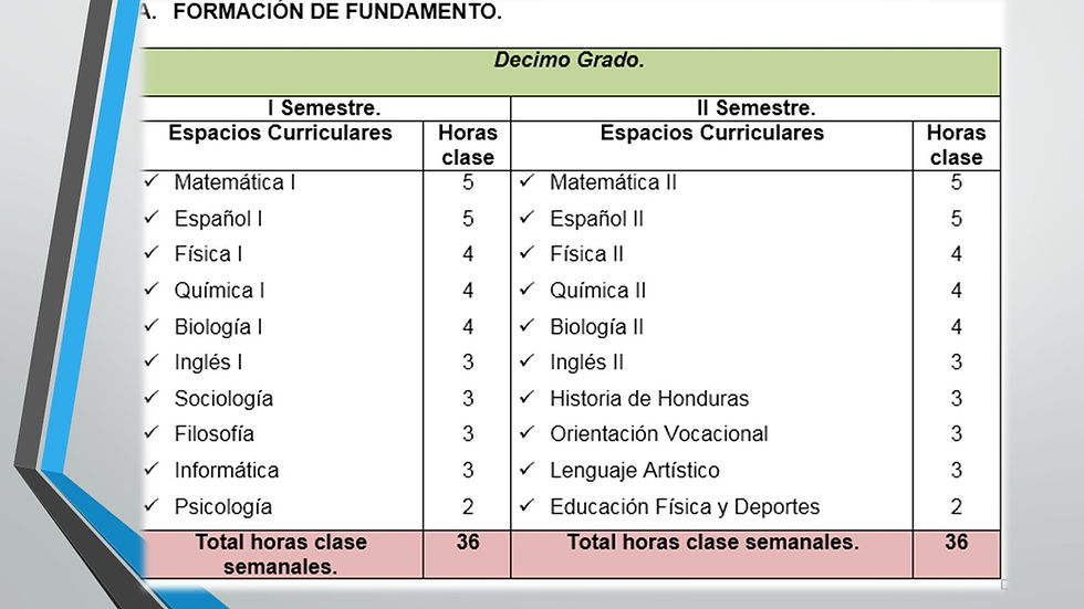 PRIMER AÑO