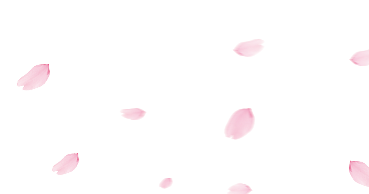 pngwing.com (84).png