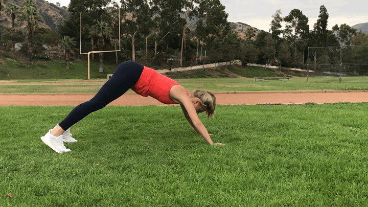 Downward Dog Pushups