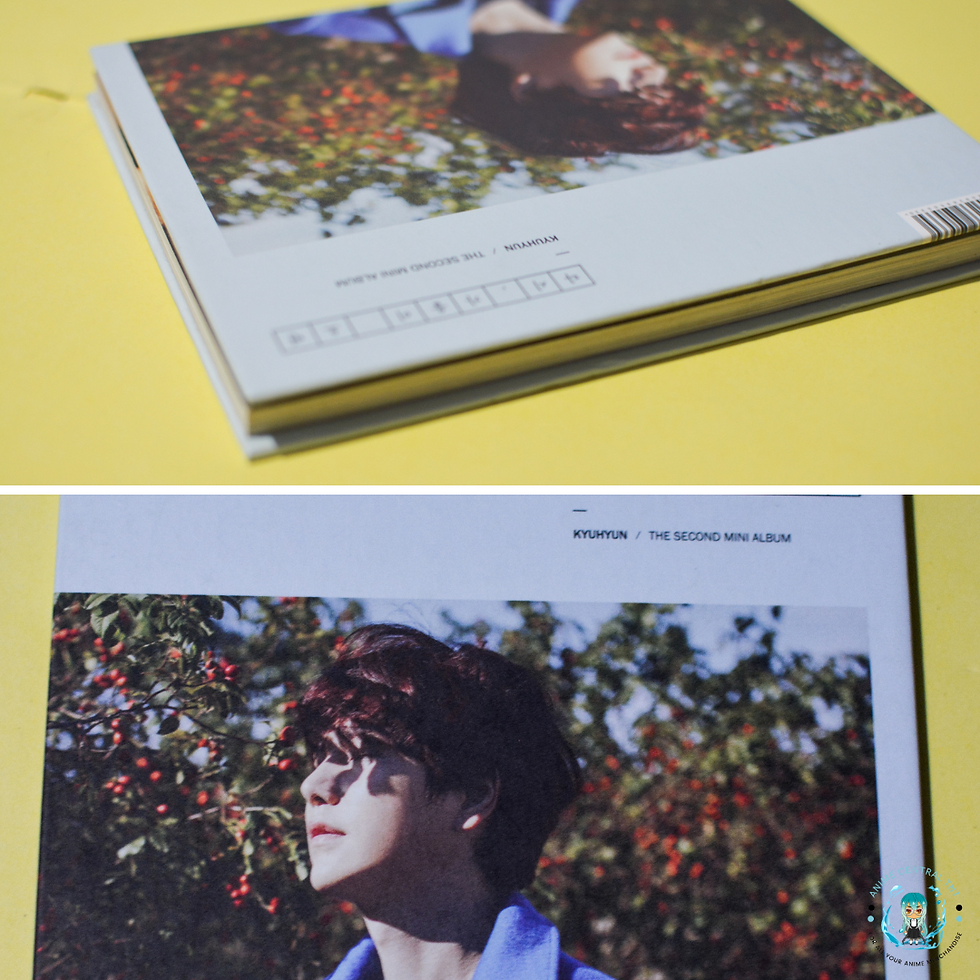 Thumbnail: KYUHYUN - [Fall, Once Again] 2nd Mini Album