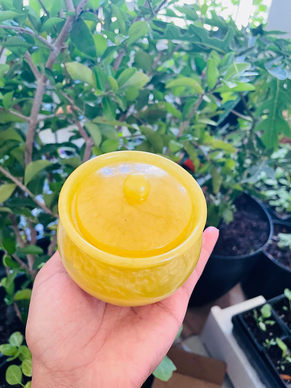 Thumbnail: Resin Jars