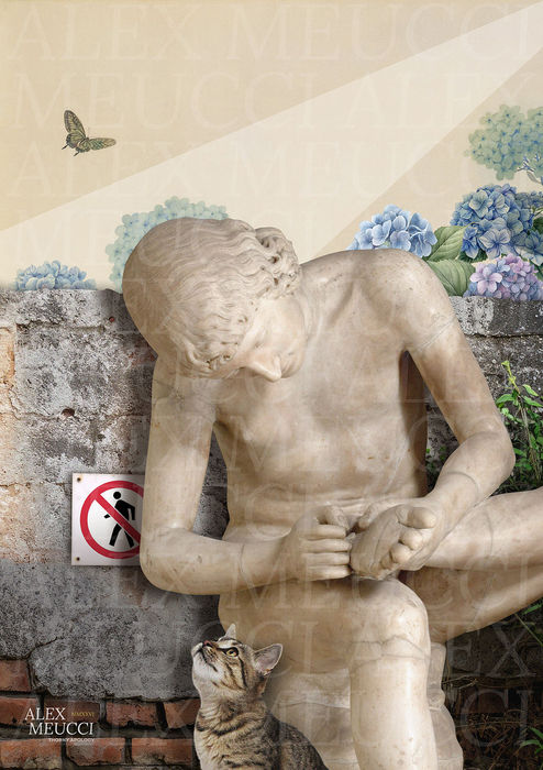 THORNY APOLOGY © Alex Meucci (2026)