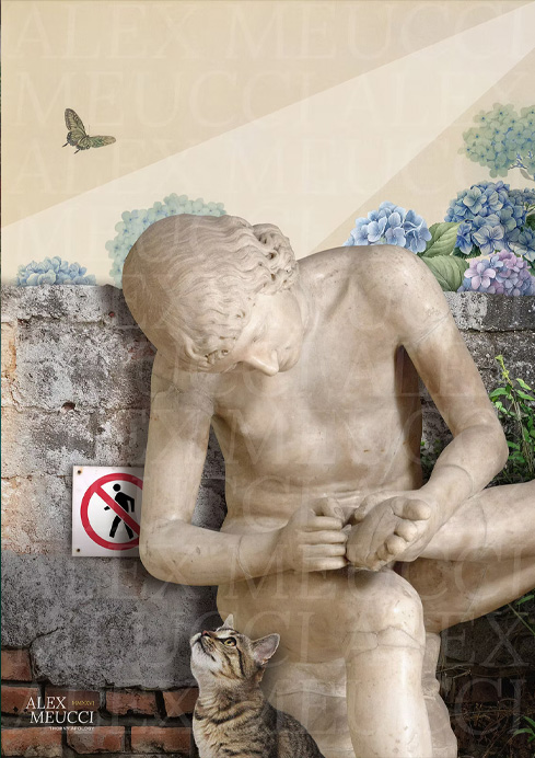 THORNY APOLOGY © Alex Meucci (2026)