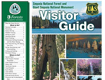 3forestseqguide.jpg