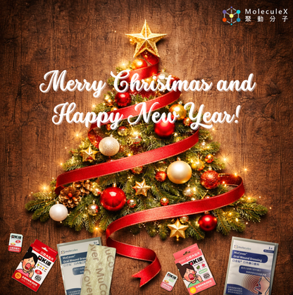 🎄 Merry Christmas and welcome 2026! 🎆