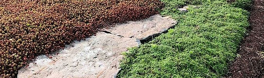 ground3.JPG