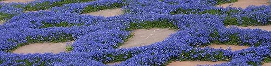 ground1.JPG