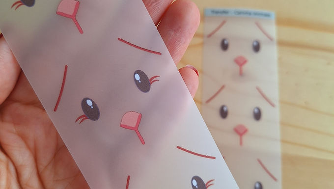 Transfer Carinha Coelha