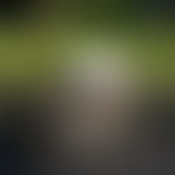 Specificity - How to build cycling power? Or the red herring of performance?