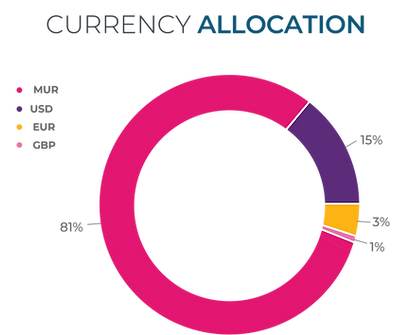 NMEPS CURRENCY ALLOCATION.png