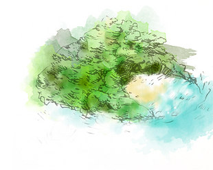 アセット 1 (1).png