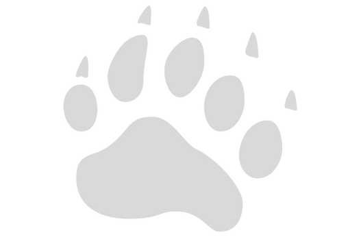 LSBS (2).png