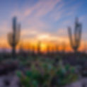 Arizon-desert-photo-0989.jpg