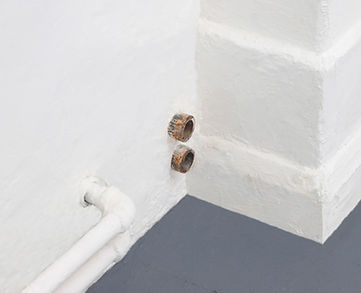 IMG_9389 edit 2.JPEG