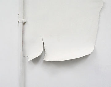 2Q0A9628 edited_edited.jpg