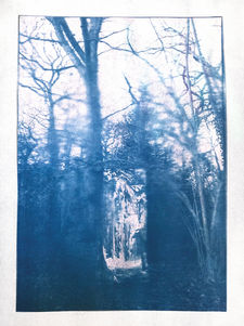 5. Cyanotype of Capturing awe .jpg