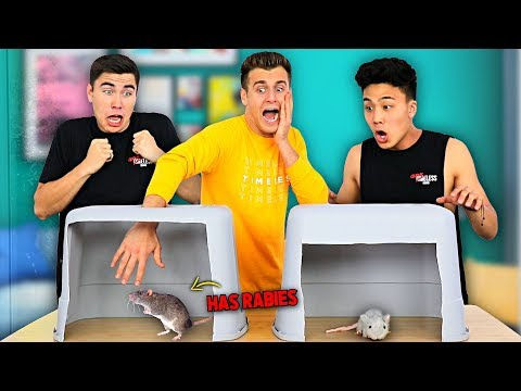 8 Fresh Dinner and Dance Game Ideas (Easy +DIY)