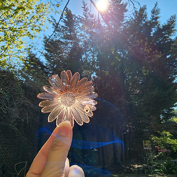 WhatsApp Image 2024-05-21 at 19.46.44_56788faa.jpg