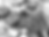 Screen Shot 2017-09-16 at 13.36.32.png
