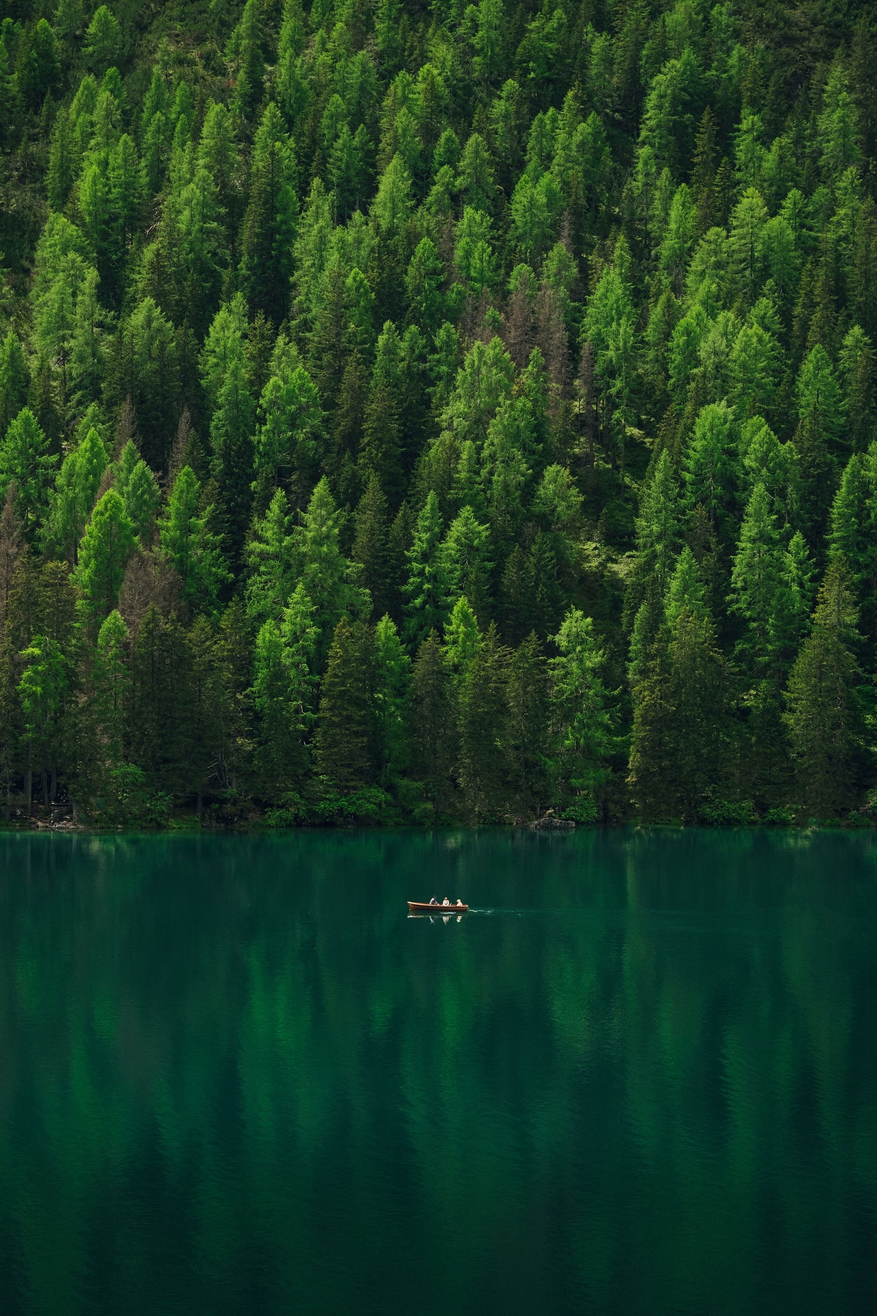 Die Alpen sind ein perfektes Naturparadies zum Runterkommen